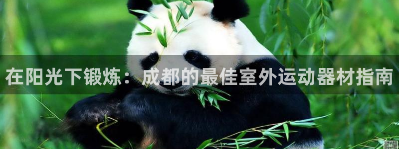 意昂体育3平台：在阳光下锻炼：成都的最佳室外运动器材指南