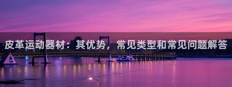 意昂3娱乐网站：皮革运动器材：其优势，常见类型和常见问题解答