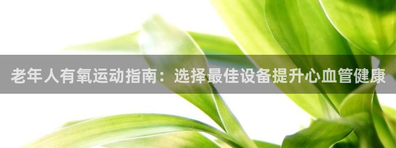 意昂3五金厂：老年人有氧运动指南：选择最佳设备提升心
