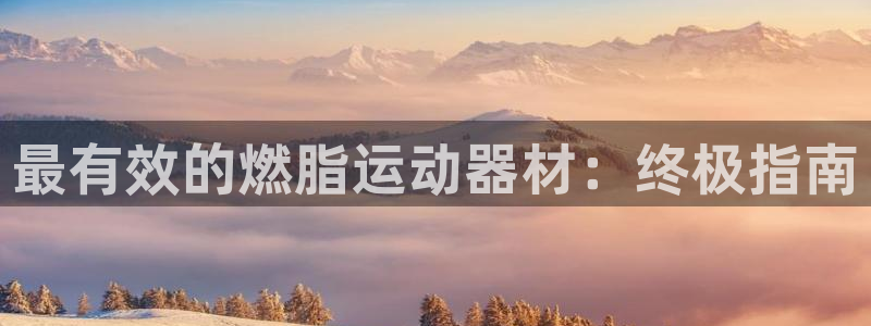 德国意昂3集团：最有效的燃脂运动器材：终极指南