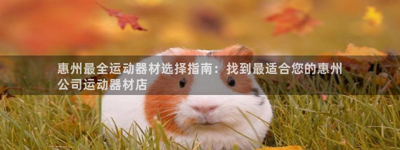 意昂体育3招商电话号码：惠州最全运动器材选择指南：找