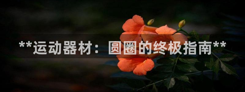 意昂3娱乐网站：**运动器材：圆圈的终极指南**