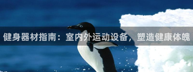 意昂3开户：健身器材指南：室内外运动设备，塑造健康体魄