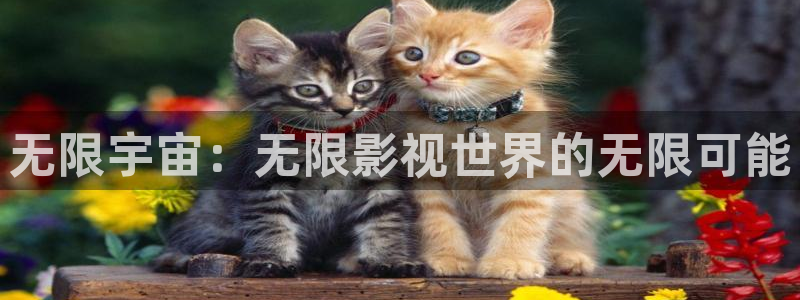 6080首播影院：无限宇宙：无限影视世界的无限可能