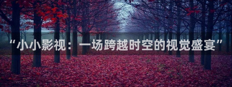 yy4880首播影院：“小小影视：一场跨越时空的视觉盛宴”
