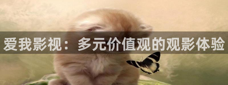 51yye com首播影院：爱我影视：多元价值观的观影体验