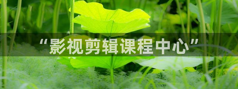 首播影院在线播放：“影视剪辑课程中心”
