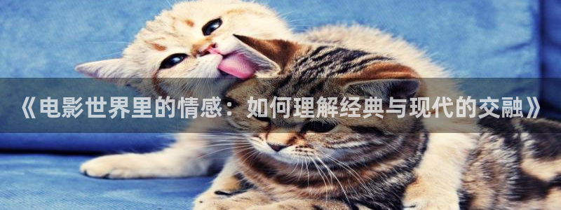 yy 4480首播影院：《电影世界里的情感：如何理解经典与现代的交融》