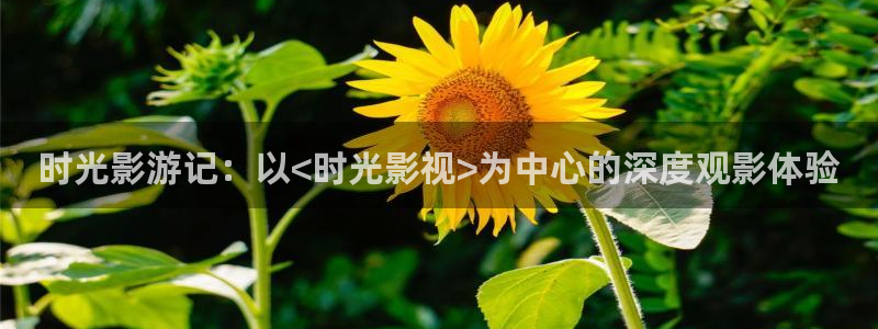 yy6080首播影院私人影院：时光影游记：以<时光影视>为中心的深度观影体验