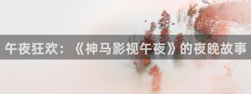 首播影院入口：午夜狂欢：《神马影视午夜》的夜晚故事