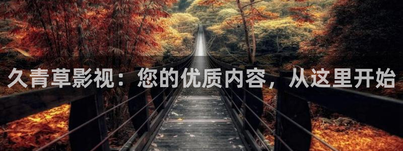 a4yycom首播影院：久青草影视：您的优质内容，从这里开始